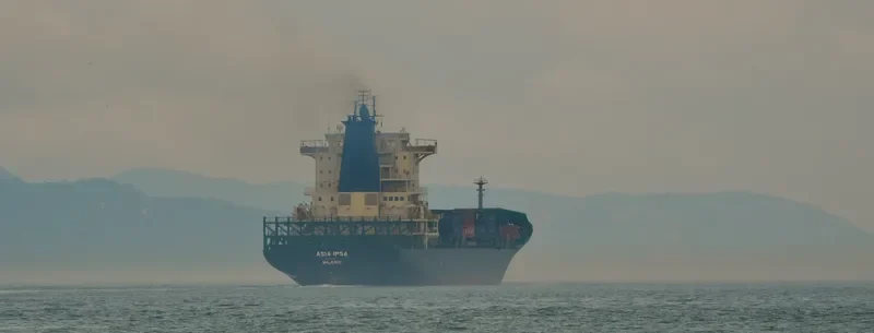 IPSA I Container Ship IMO 9270816 photo 4