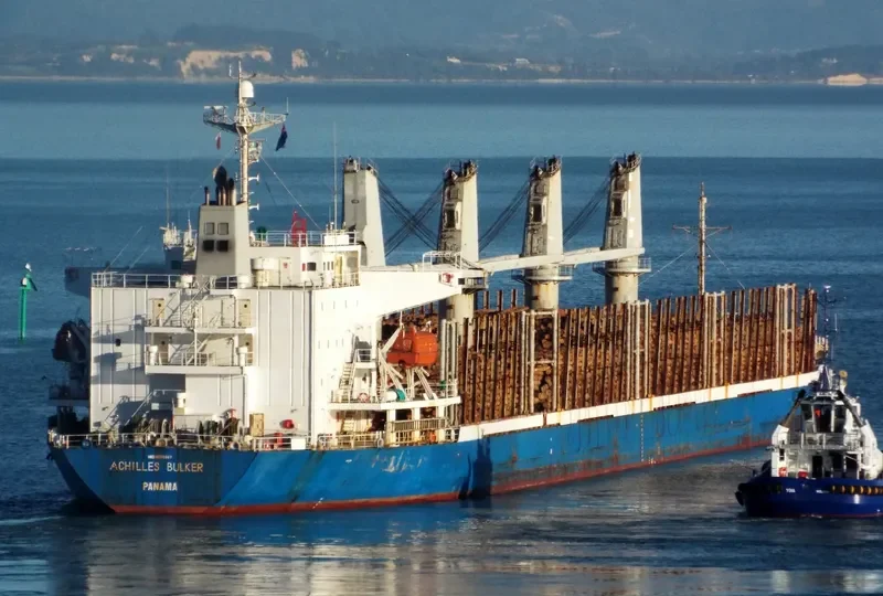 ACHILLES BULKER Bulk Carrier IMO 9270907 photo 2