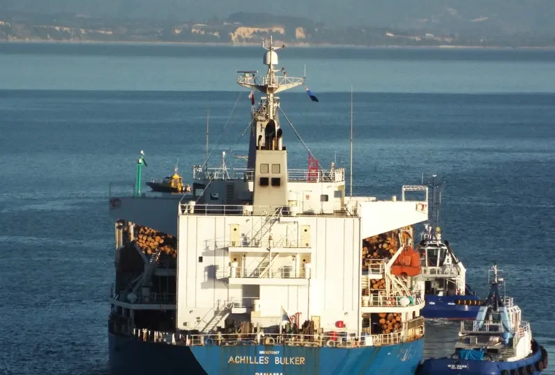 ACHILLES BULKER Bulk Carrier IMO 9270907 photo 3