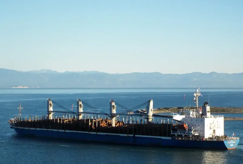 ACHILLES BULKER Bulk Carrier IMO 9270907 photo 4