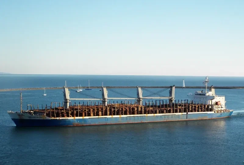 ACHILLES BULKER Bulk Carrier IMO 9270907 photo 5