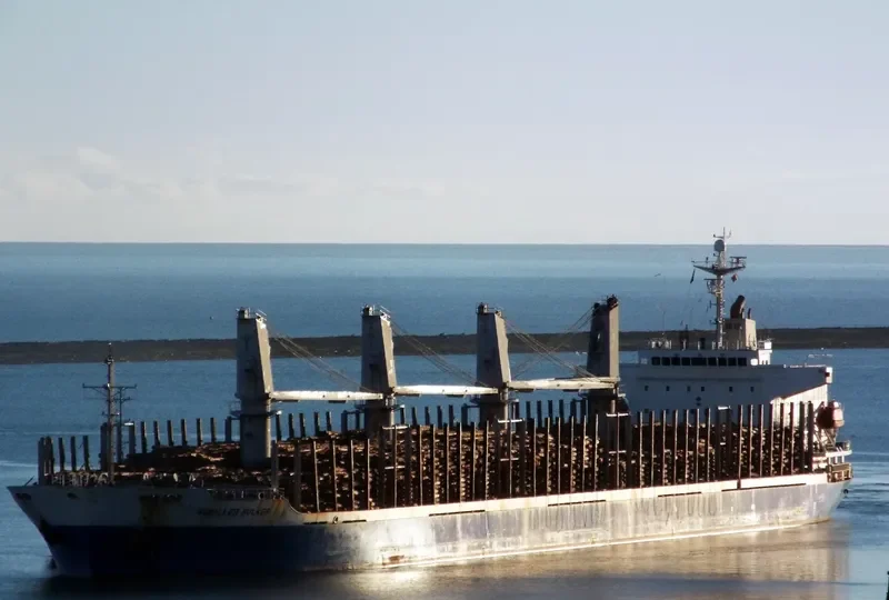 ACHILLES BULKER Bulk Carrier IMO 9270907 photo 6