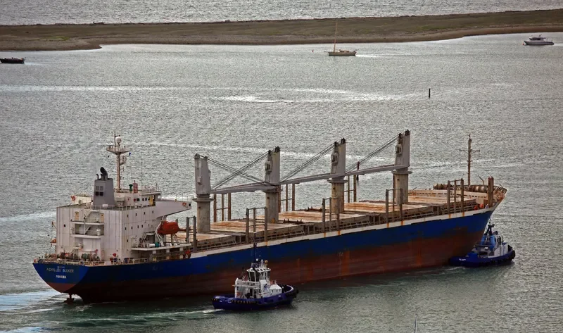 ACHILLES BULKER Bulk Carrier IMO 9270907 photo 7