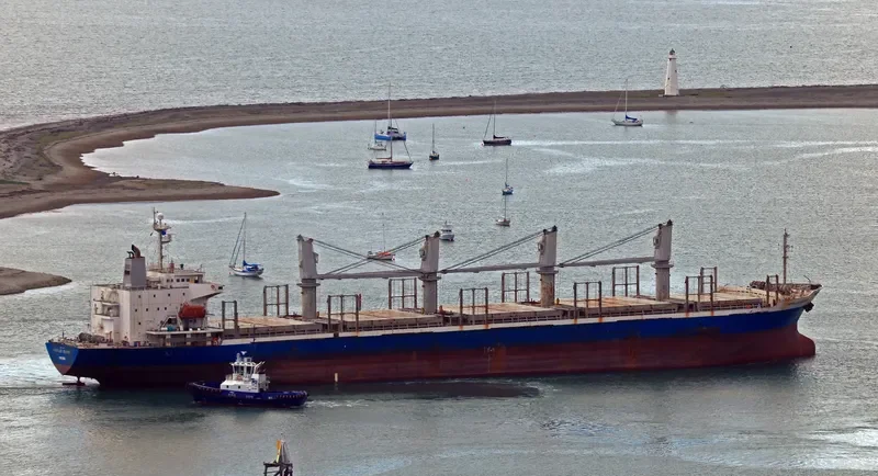 ACHILLES BULKER Bulk Carrier IMO 9270907 photo 8