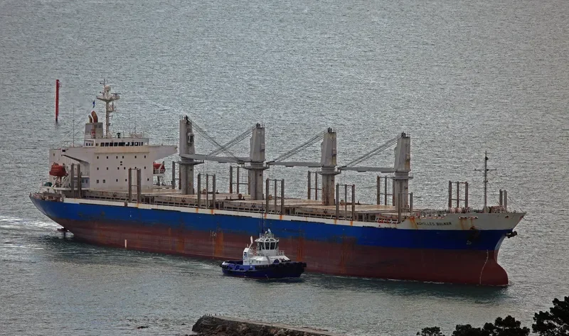 ACHILLES BULKER Bulk Carrier IMO 9270907 photo 10