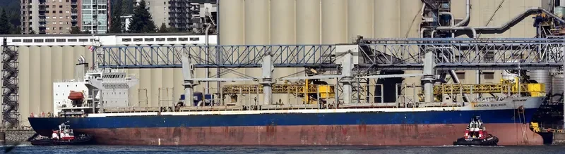 MARINA K Bulk Carrier IMO 9270919 photo 2