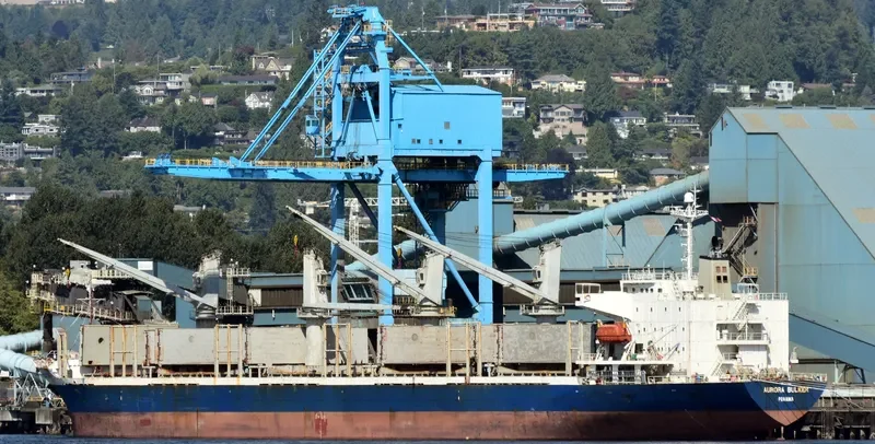 MARINA K Bulk Carrier IMO 9270919 photo 5