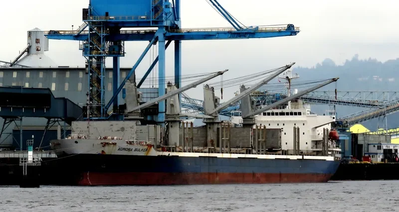 MARINA K Bulk Carrier IMO 9270919 photo 6