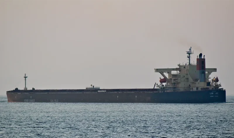 LIN JIE Bulk Carrier IMO 9271389