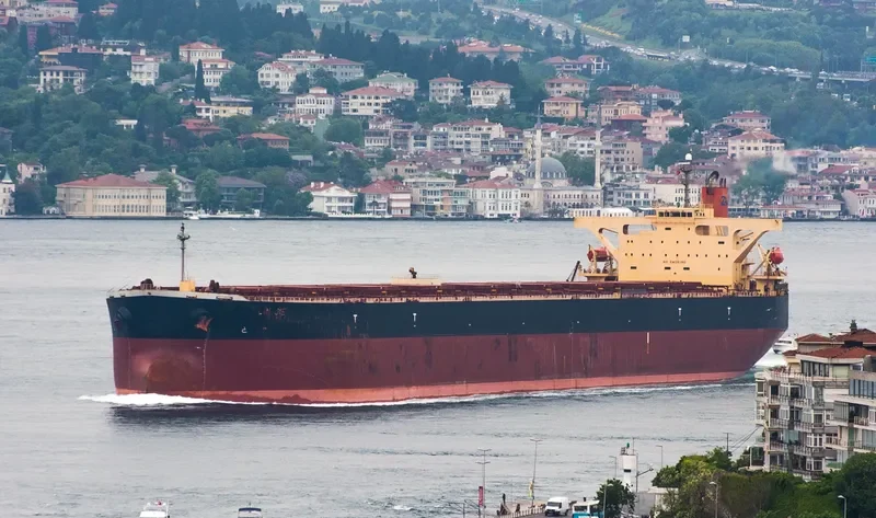 LIN JIE Bulk Carrier IMO 9271389 photo 2