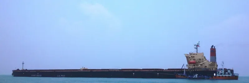 LIN JIE Bulk Carrier IMO 9271389 photo 3