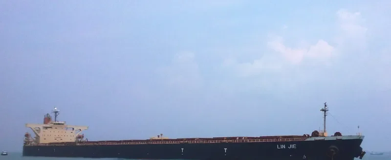 LIN JIE Bulk Carrier IMO 9271389 photo 4