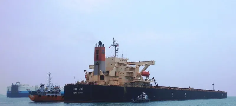 LIN JIE Bulk Carrier IMO 9271389 photo 5