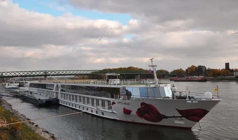 A ROSA BELLA Passenger Ship IMO 9271482 photo 7