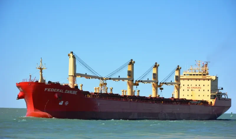 DSM CAPELLA Bulk Carrier IMO 9271511 photo 2