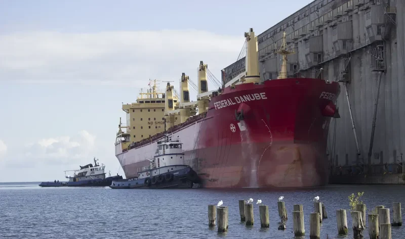 DSM CAPELLA Bulk Carrier IMO 9271511 photo 5