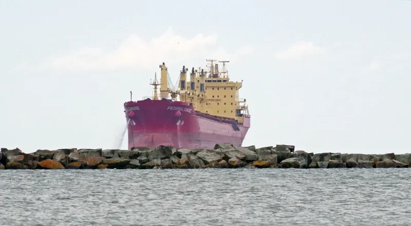 DSM CAPELLA Bulk Carrier IMO 9271511 photo 8