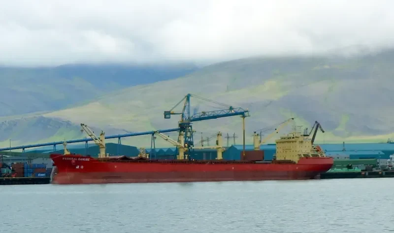 DSM CAPELLA Bulk Carrier IMO 9271511 photo 10