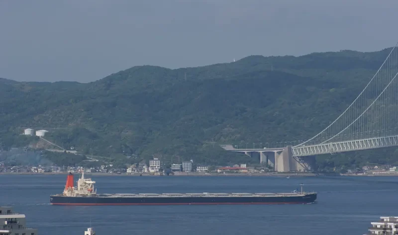 CAPE KORI Bulk Carrier IMO 9271559 photo 4