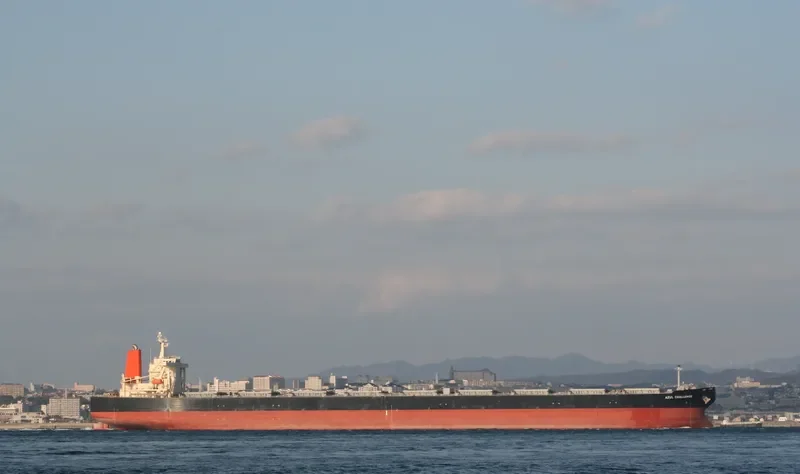 CAPE KORI Bulk Carrier IMO 9271559 photo 6