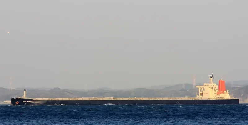 AZUL FORTUNA Bulk Carrier IMO 9271561