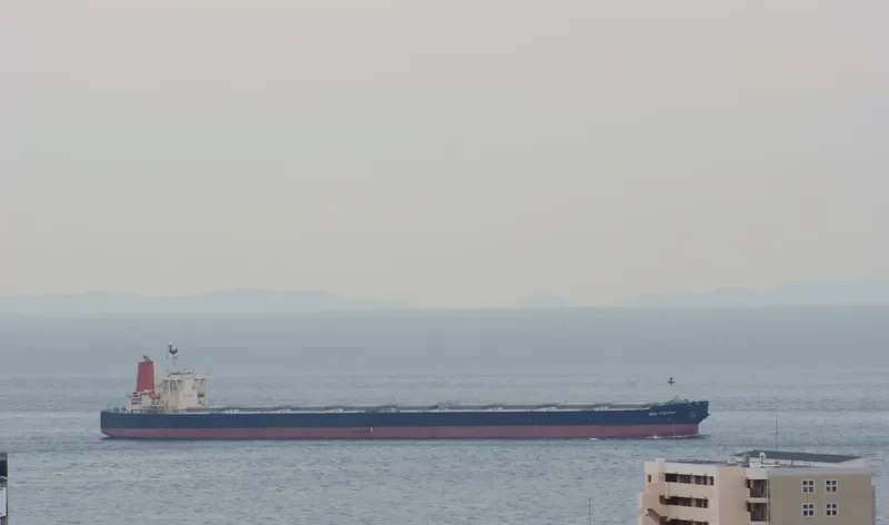 AZUL FORTUNA Bulk Carrier IMO 9271561 photo 2