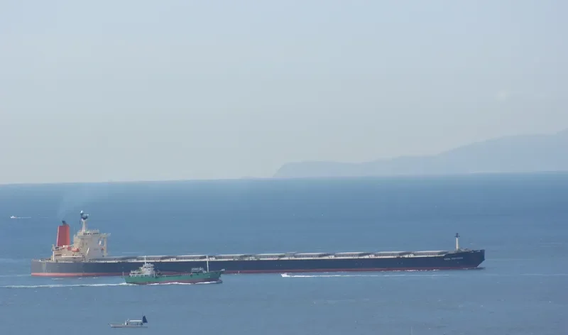 AZUL FORTUNA Bulk Carrier IMO 9271561 photo 3