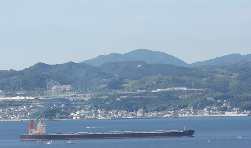 AZUL FORTUNA Bulk Carrier IMO 9271561 photo 4