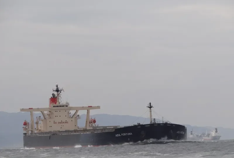 AZUL FORTUNA Bulk Carrier IMO 9271561 photo 6