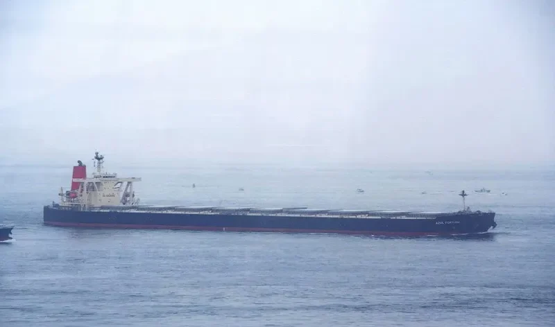 AZUL FORTUNA Bulk Carrier IMO 9271561 photo 7