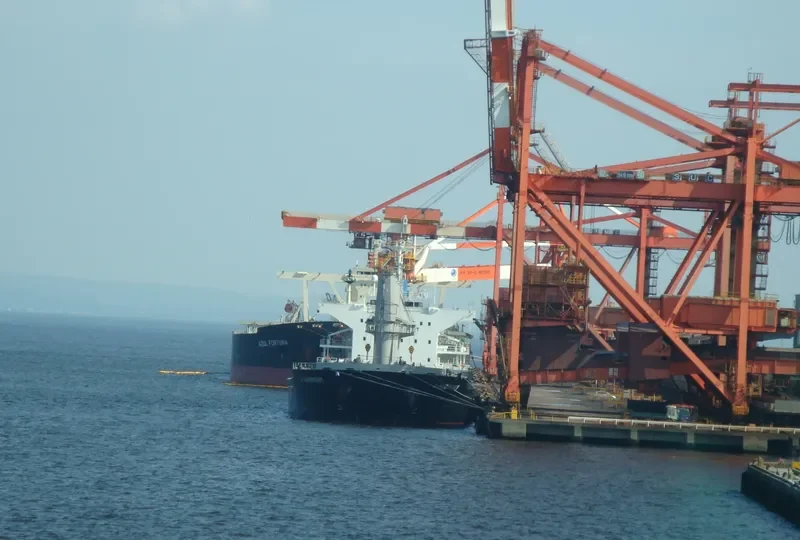 AZUL FORTUNA Bulk Carrier IMO 9271561 photo 8