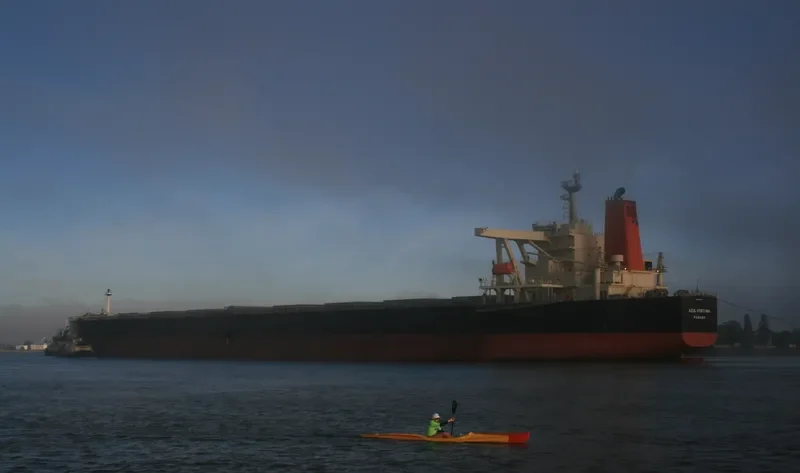 AZUL FORTUNA Bulk Carrier IMO 9271561 photo 10