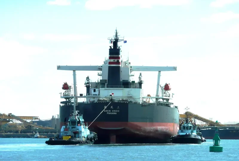 SHIN ONOE Bulk Carrier IMO 9271597