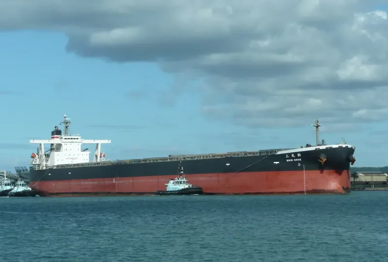 SHIN ONOE Bulk Carrier IMO 9271597 photo 2