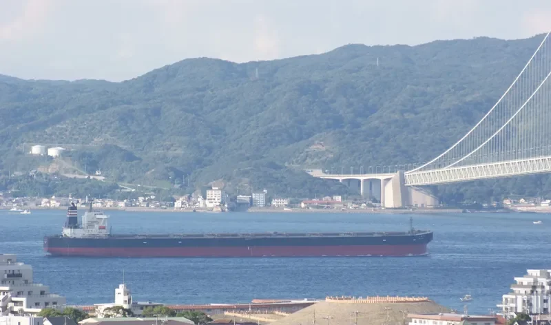 SHIN ONOE Bulk Carrier IMO 9271597 photo 4