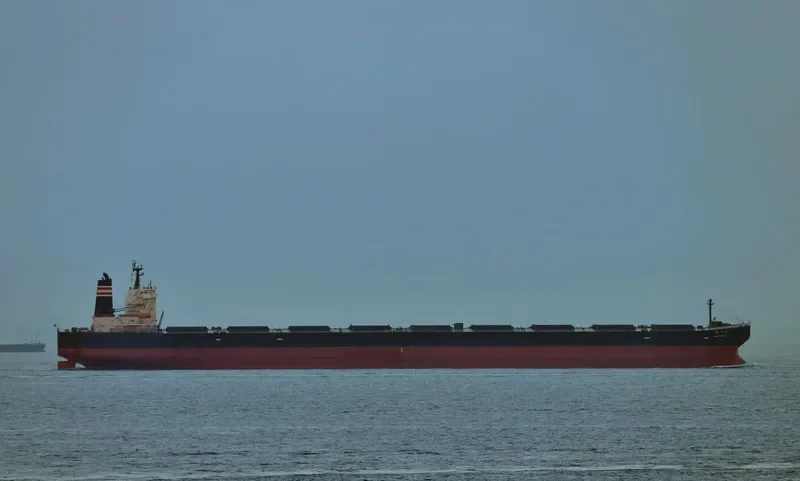 WINNING OCEAN Bulk Carrier IMO 9271602 photo 3