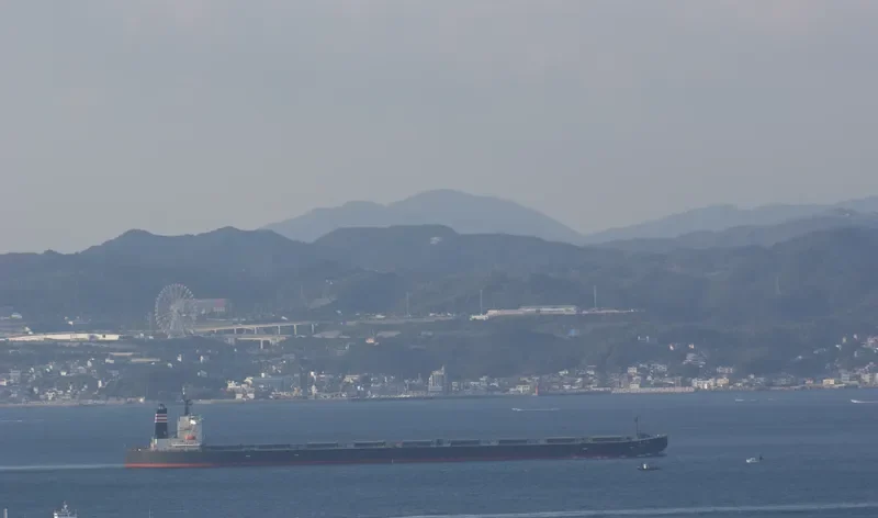WINNING OCEAN Bulk Carrier IMO 9271602 photo 5