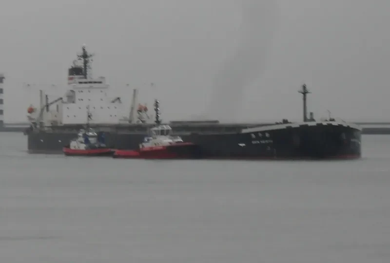 WINNING OCEAN Bulk Carrier IMO 9271602 photo 10