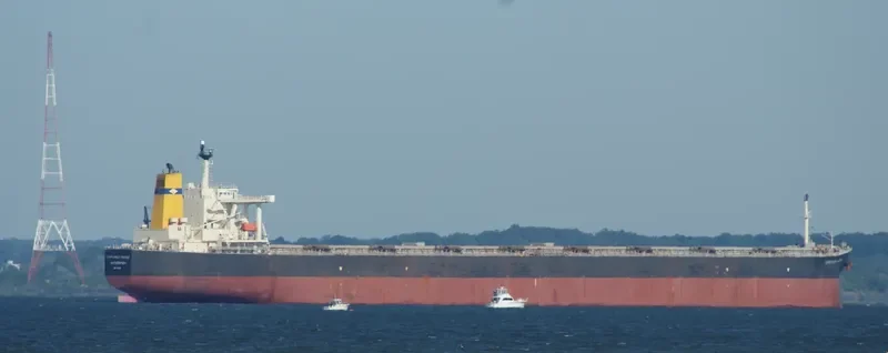 DONG YUAN Bulk Carrier IMO 9271614 photo 4