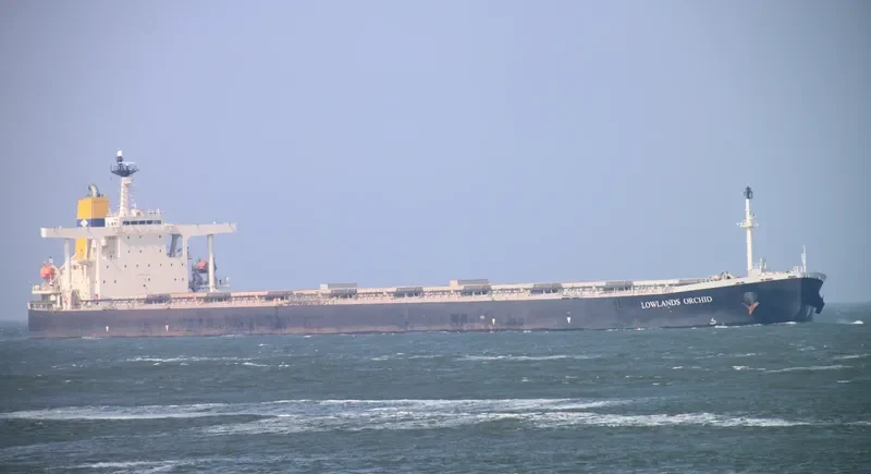 DONG YUAN Bulk Carrier IMO 9271614 photo 6
