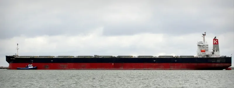 SHINYO ALLIANCE Bulk Carrier IMO 9271638