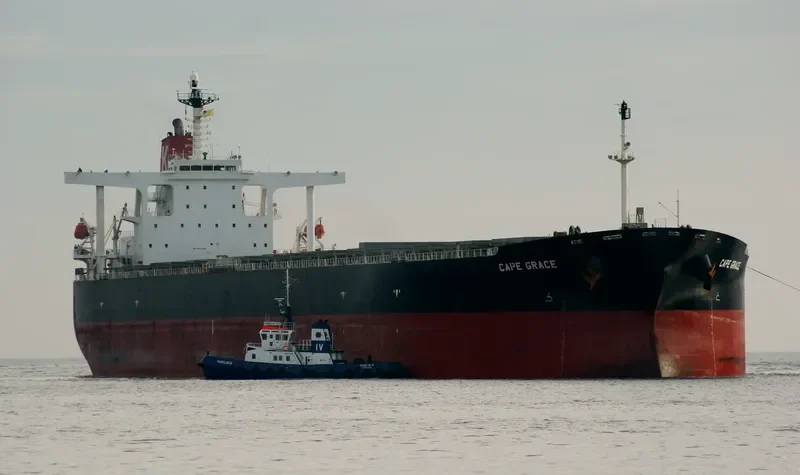 SHINYO ALLIANCE Bulk Carrier IMO 9271638 photo 2