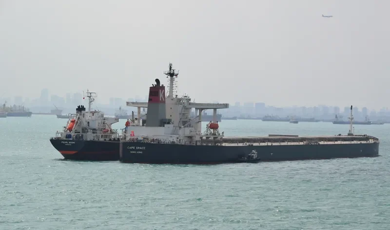 SHINYO ALLIANCE Bulk Carrier IMO 9271638 photo 3