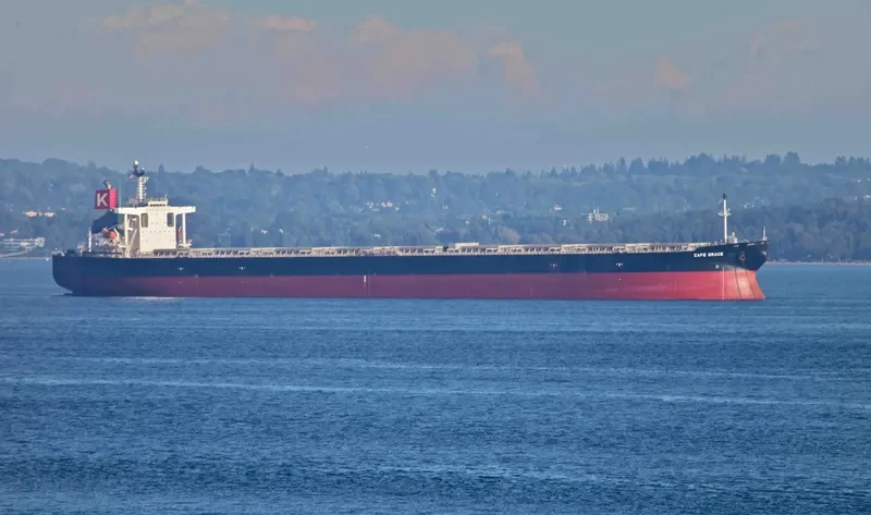 SHINYO ALLIANCE Bulk Carrier IMO 9271638 photo 4