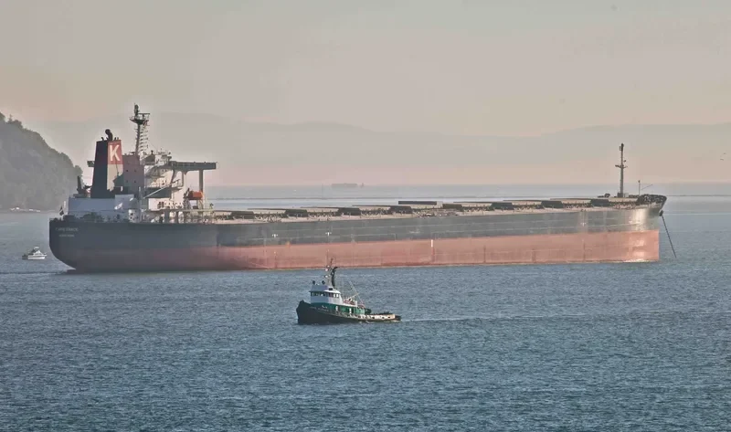 SHINYO ALLIANCE Bulk Carrier IMO 9271638 photo 6