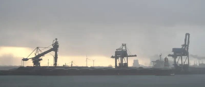 SHINYO ALLIANCE Bulk Carrier IMO 9271638 photo 7