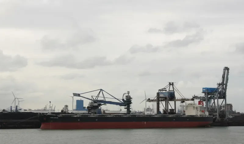 SHINYO ALLIANCE Bulk Carrier IMO 9271638 photo 9