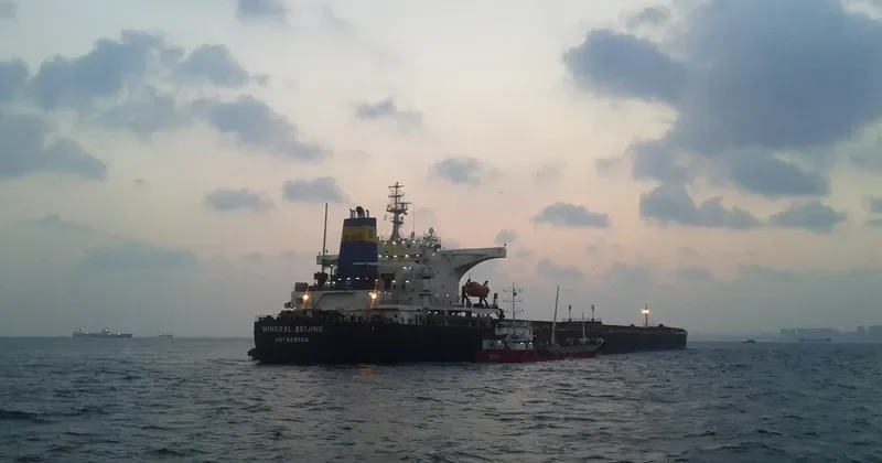 MINERAL BEIJING Bulk Carrier IMO 9272383 photo 10