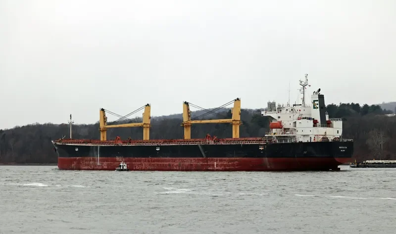 NERAIDA Bulk Carrier IMO 9272448 photo 2