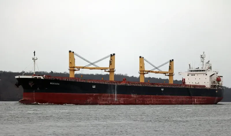 NERAIDA Bulk Carrier IMO 9272448 photo 3